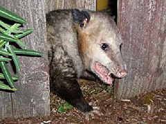 Best Photograph 2007-2008